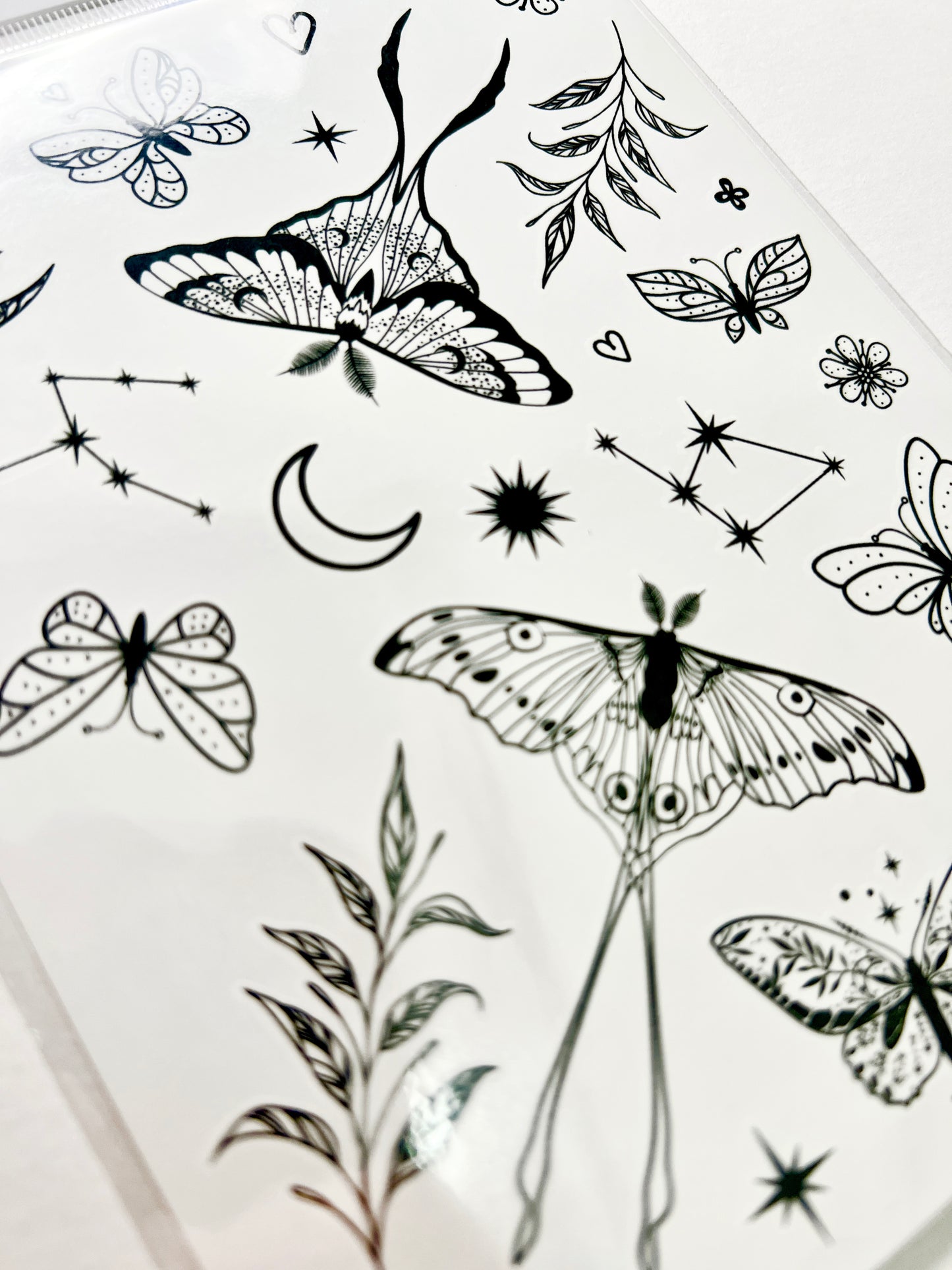 Lunas, Polillas, Estrellas y Ramas en Tinta Negra