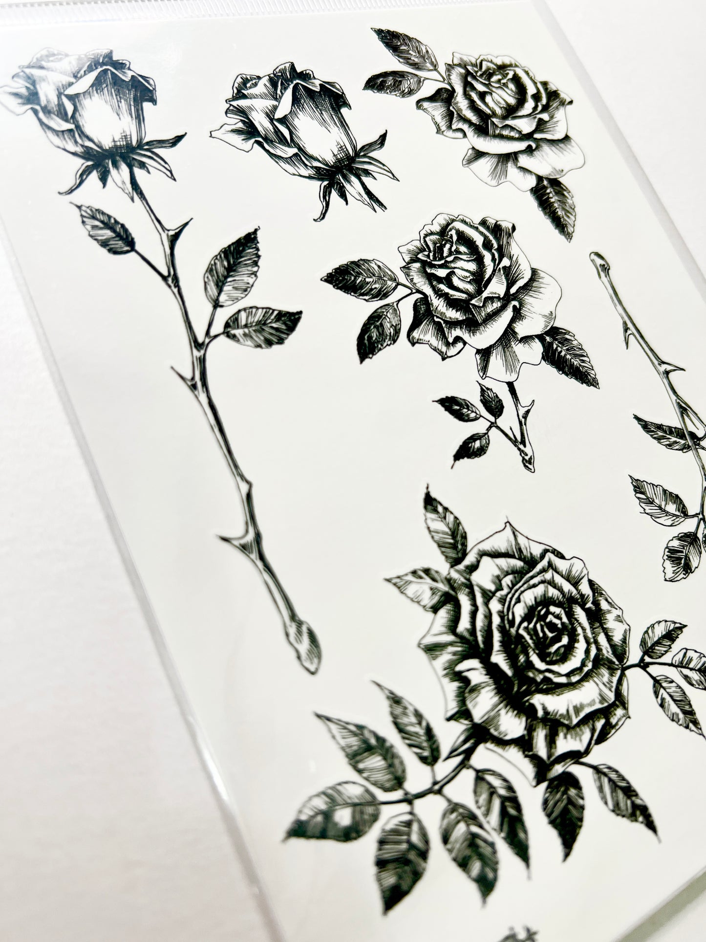 Rosas en Tinta Negra