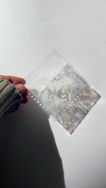 Suncatcher - Polilla, Plantas y Lunas